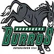 Oak Hills High School Football opponent logo